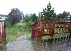 P1010192.jpg P1010192.jpg