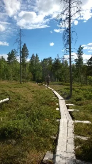 WP_20140611_035.webp WP_20140611_035.webp