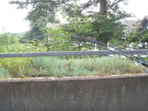 P1010318.jpg P1010318.jpg