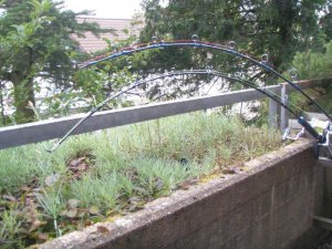 P1010319.jpg P1010319.jpg