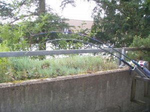 P1010320.jpg P1010320.jpg