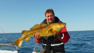 P1010598Korr.jpg P1010598Korr.jpg