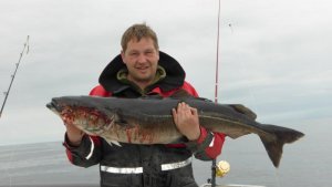 P1010544.jpg P1010544.jpg