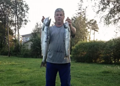 Handybilder 1379.webp