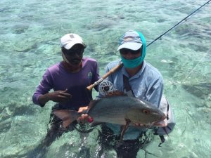 WhatsApp Image 2019-11-20 at 12.40.25.jpeg WhatsApp Image 2019-11-20 at 12.40.25.jpeg