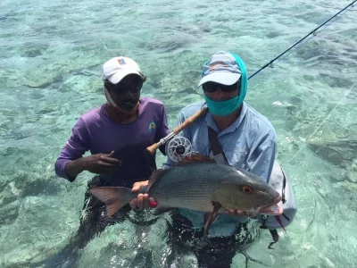 WhatsApp Image 2019-11-20 at 12.40.25.webp WhatsApp Image 2019-11-20 at 12.40.25.webp