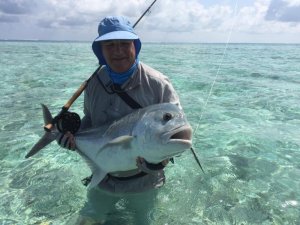 WhatsApp Image 2019-11-20 at 12.40.26.jpeg WhatsApp Image 2019-11-20 at 12.40.26.jpeg