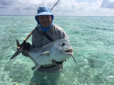 WhatsApp Image 2019-11-20 at 12.40.26.webp WhatsApp Image 2019-11-20 at 12.40.26.webp