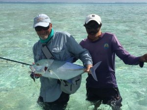 WhatsApp Image 2019-11-20 at 12.40.28.jpeg WhatsApp Image 2019-11-20 at 12.40.28.jpeg