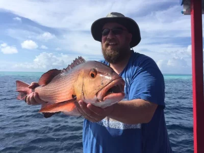 WhatsApp Image 2019-11-21 at 15.18.44.webp WhatsApp Image 2019-11-21 at 15.18.44.webp