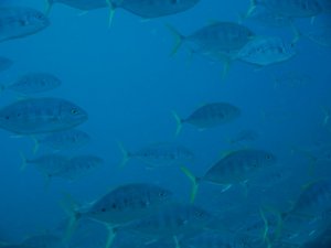 P1030171.JPG P1030171.JPG