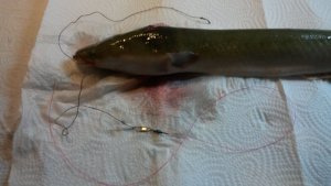 20191211_211928.jpg 20191211_211928.jpg