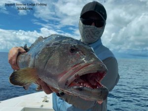 WhatsApp Image 2019-12-21 at 16.56.20.jpeg