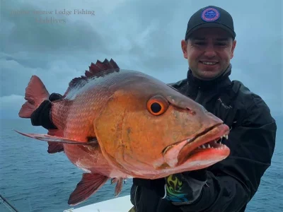 WhatsApp Image 2019-12-21 at 16.56.19.webp