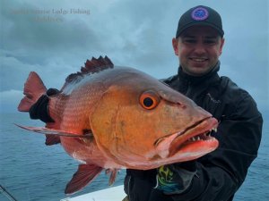 WhatsApp Image 2019-12-21 at 16.56.19.jpeg