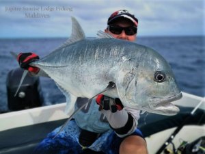 WhatsApp Image 2019-12-21 at 15.37.10.jpeg