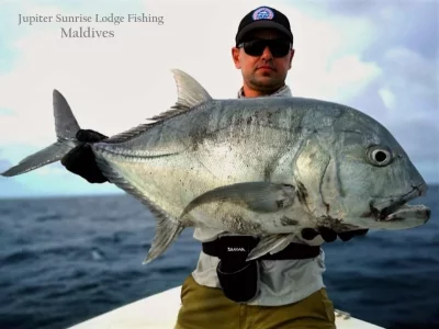 WhatsApp Image 2019-12-21 at 15.37.06.webp