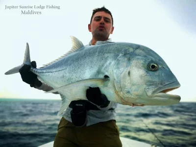 WhatsApp Image 2019-12-21 at 15.37.05.webp