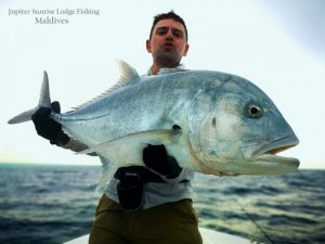 WhatsApp Image 2019-12-21 at 15.37.05.jpeg