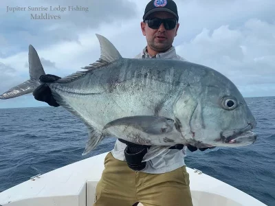 WhatsApp Image 2019-12-21 at 16.56.29.webp