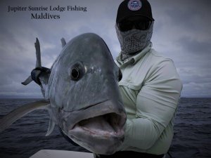 WhatsApp Image 2019-12-21 at 16.56.24(1).jpeg