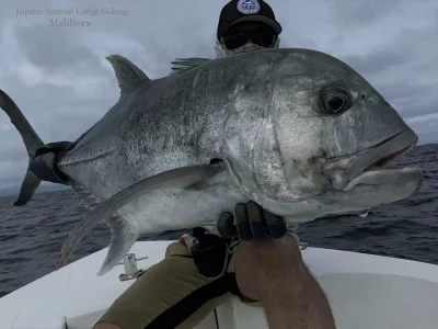 WhatsApp Image 2019-12-21 at 16.56.24.webp