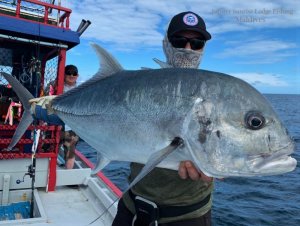 WhatsApp Image 2019-12-21 at 16.56.23.jpeg