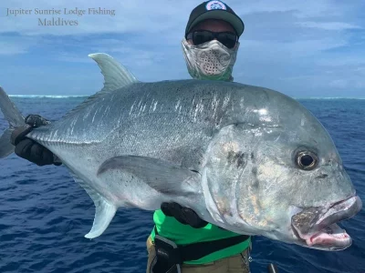 WhatsApp Image 2019-12-21 at 16.56.22.webp