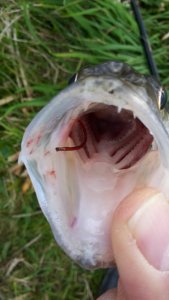 20171102_155045.jpg 20171102_155045.jpg