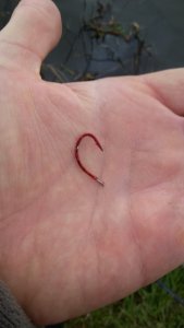 20171102_155141.jpg 20171102_155141.jpg