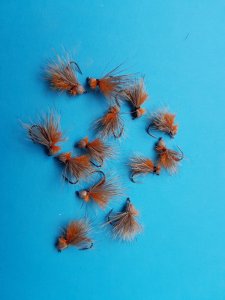 Sandfords Bullet_20190615.jpg