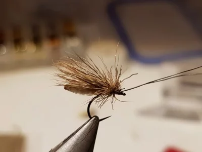 20190113_163347.webp 20190113_163347.webp