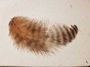 20191230_191427.jpg 20191230_191427.jpg