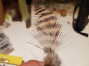 20191230_191446.jpg 20191230_191446.jpg