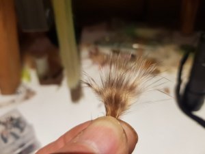 20191230_191529.jpg 20191230_191529.jpg