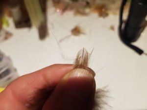 20191230_191501.jpg 20191230_191501.jpg