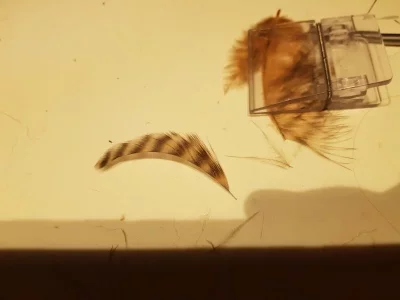 20191230_194559.webp 20191230_194559.webp