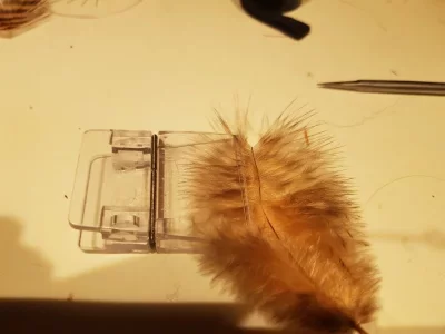 20191230_194056.webp 20191230_194056.webp