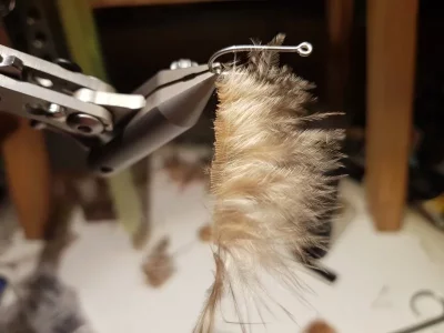 20191230_194245.webp 20191230_194245.webp