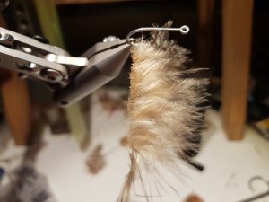 20191230_194245.jpg 20191230_194245.jpg