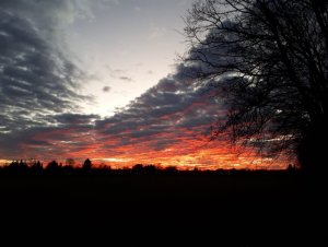 IMG-20191230-WA0002.jpg