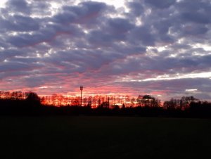 IMG-20191230-WA0003.jpg