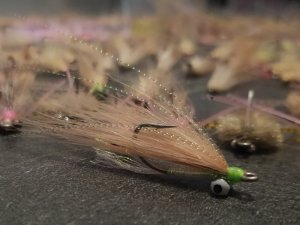 20191231_212703.jpg 20191231_212703.jpg