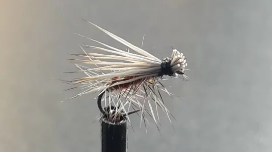 20180718_175503.jpg 20180718_175503.jpg