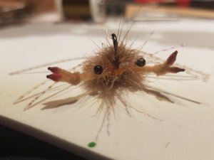 20200101_120719.jpg 20200101_120719.jpg