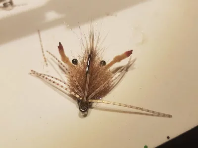 20200101_120741.webp 20200101_120741.webp