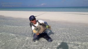 WhatsApp Image 2019-12-29 at 08.40.19(1).jpeg