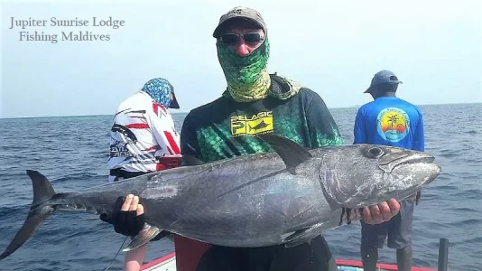 WhatsApp Image 2019-12-30 at 17.08.24.webp