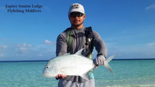 WhatsApp Image 2019-12-29 at 08.40.19.webp