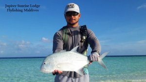 WhatsApp Image 2019-12-29 at 08.40.19.jpeg